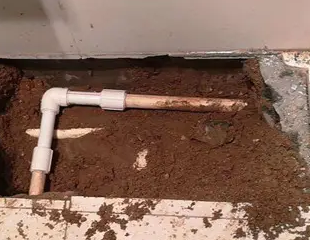 山南市测漏水哪家好