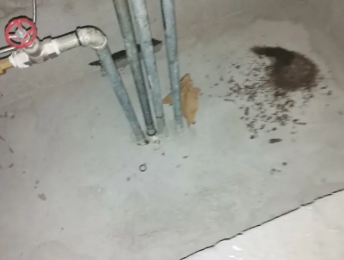 山南市卫生间测漏水价格明细