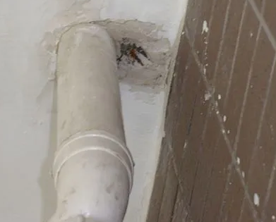 山南市漏水检测哪家好